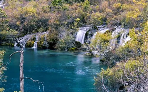 高效智慧